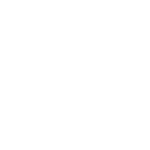 Puzzel Icon