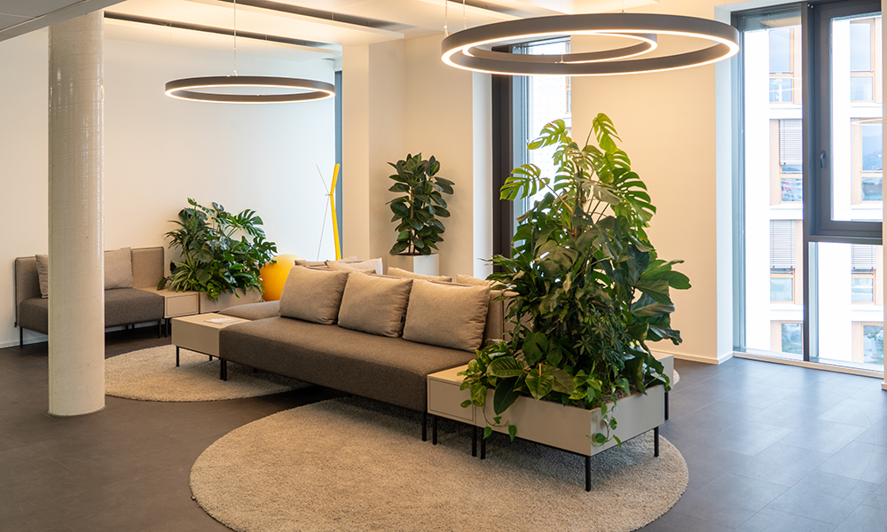 Empfangsbereich / Lounge